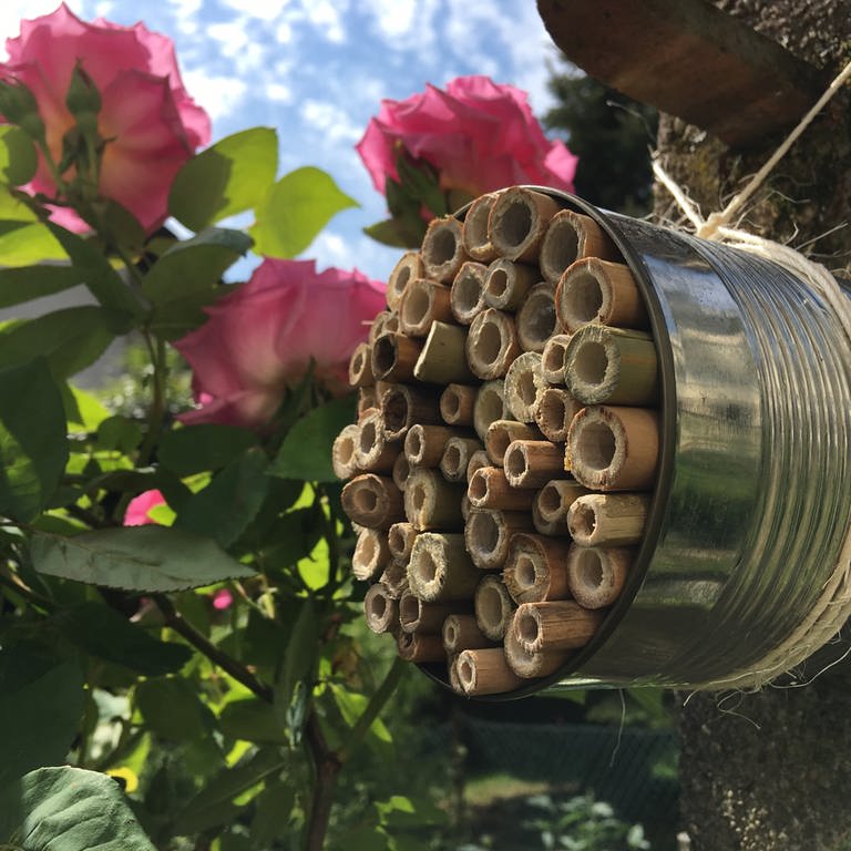 ein selbstgebautes Bienenhotel in einer Konservendose